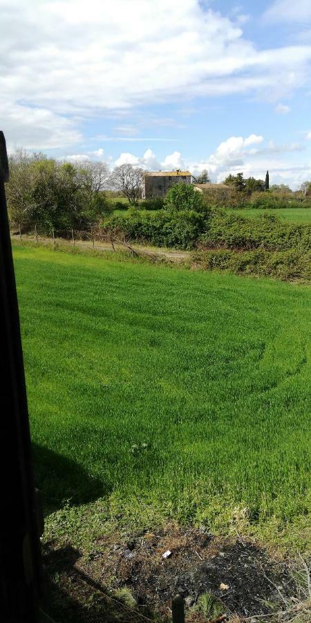Minivilla A Viterbo A 5 Minuti Dal Centro Exterior foto